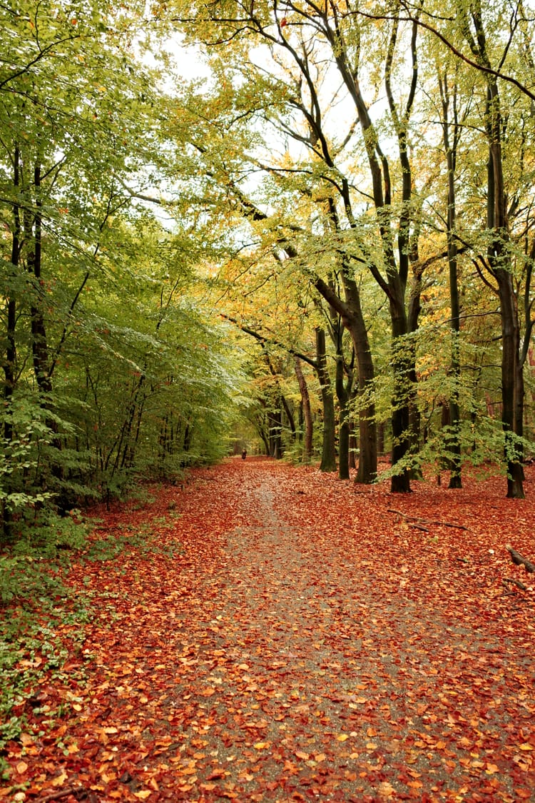 Nat nat tot in de onderbroek nat