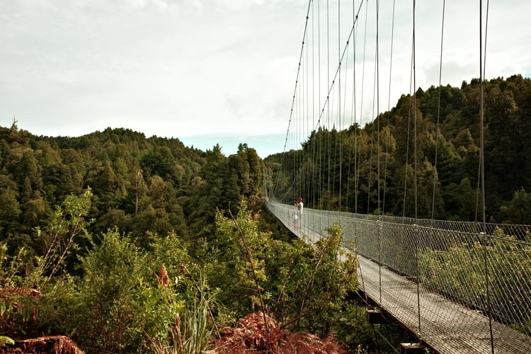 Wereldberoemd op de trail
