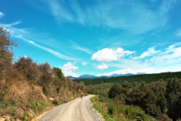 Zon, zee en zandvliegen