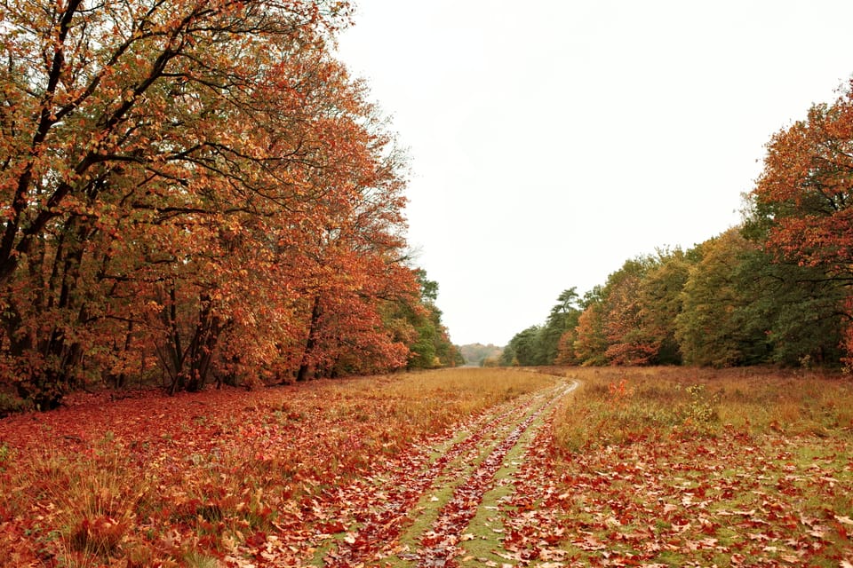 Een zonneke op het einde