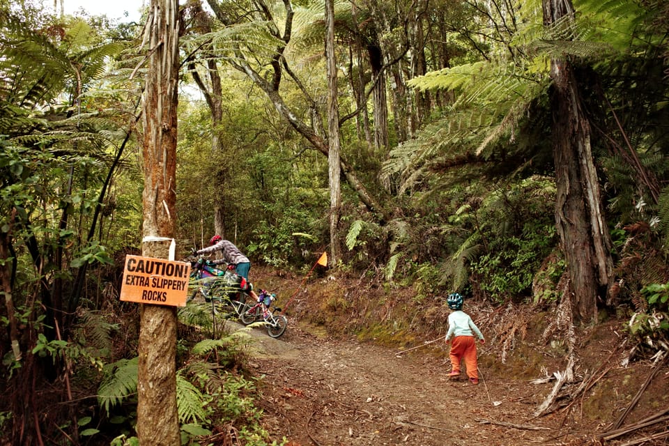Kunnen we niet gewoon een busje huren?